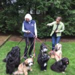 (70) Leo's Breeder Wendyll Behrend (White Hair) with Leo and her Other Dogs