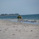 Cathie - Hunting for Sharks' Teeth in Venice, Florida (2) Large