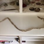 Cathie's Collections - Snake Skin Large