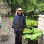 Hostas - Cathie Working on Her Hostas