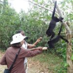 Travel - Cathie with Howler Monkeys in Belize Medium