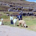 Travel - Peter's Brother Reuben and Cathie with Llamas in Peru (1) Large